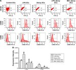 CD86 (B7-2) Antibody in Flow Cytometry (Flow)