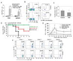 CD8a Antibody in Flow Cytometry (Flow)