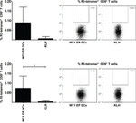 CD8 Antibody in Flow Cytometry (Flow)