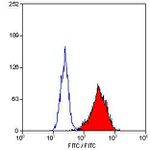 CD90 Antibody in Flow Cytometry (Flow)