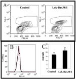 CD90.2 (Thy-1.2) Antibody in Flow Cytometry (Flow)