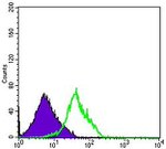 CD94 Antibody in Flow Cytometry (Flow)