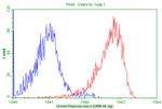 CD99 Antibody in Flow Cytometry (Flow)