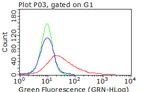 CDH2 Antibody in Flow Cytometry (Flow)