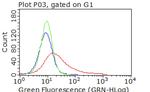 CDH2 Antibody in Flow Cytometry (Flow)