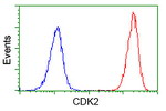 CDK2 Antibody in Flow Cytometry (Flow)