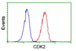 CDK2 Antibody in Flow Cytometry (Flow)