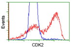 CDK2 Antibody in Flow Cytometry (Flow)