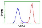 CDK2 Antibody in Flow Cytometry (Flow)