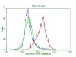 CDKN2A Antibody in Flow Cytometry (Flow)