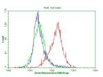 CDKN2A Antibody in Flow Cytometry (Flow)