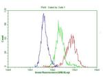 CDKN2A Antibody in Flow Cytometry (Flow)