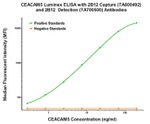 CEA (CEACAM5) Antibody in Luminex (LUM)