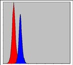 C/EBP beta Antibody in Flow Cytometry (Flow)