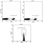 CD4 Antibody in Flow Cytometry (Flow)