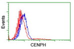 CENPH Antibody in Flow Cytometry (Flow)