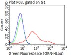 GM CSF Receptor alpha (CSF2RA) Antibody in Flow Cytometry (Flow)