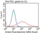 p75 NGF Receptor (NGFR) Antibody in Flow Cytometry (Flow)