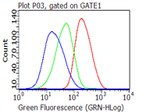 CD70 Antibody in Flow Cytometry (Flow)