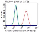 CD70 Antibody in Flow Cytometry (Flow)