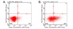 CD70 Antibody in Flow Cytometry (Flow)