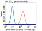 CD70 Antibody in Flow Cytometry (Flow)