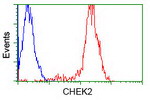 CHEK2 Antibody in Flow Cytometry (Flow)