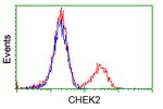 CHEK2 Antibody in Flow Cytometry (Flow)