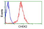 CHEK2 Antibody in Flow Cytometry (Flow)