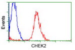 CHEK2 Antibody in Flow Cytometry (Flow)