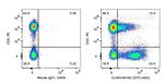 CD73 Antibody in Flow Cytometry (Flow)