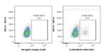 CD94 Antibody in Flow Cytometry (Flow)