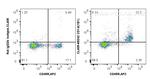 CD1d Antibody in Flow Cytometry (Flow)