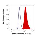 EEF1D Antibody in Flow Cytometry (Flow)