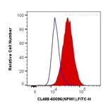 B23/NPM1 Antibody in Flow Cytometry (Flow)