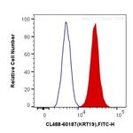 Cytokeratin 19 Antibody in Flow Cytometry (Flow)