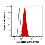 U2AF35 Antibody in Flow Cytometry (Flow)