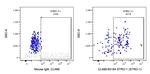 STRO-1 Antibody in Flow Cytometry (Flow)