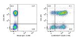 CD226 Antibody in Flow Cytometry (Flow)