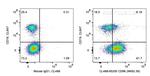 CD96 Antibody in Flow Cytometry (Flow)