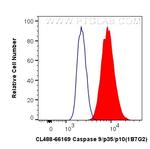 Caspase 9/p35/p10 Antibody in Flow Cytometry (Flow)