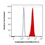 STAT5B Antibody in Flow Cytometry (Flow)