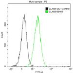 SLP76 Antibody in Flow Cytometry (Flow)