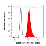 PYCR1 Antibody in Flow Cytometry (Flow)