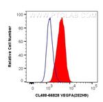 VEGFA Antibody in Flow Cytometry (Flow)