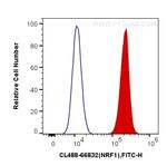 NRF1 Antibody in Flow Cytometry (Flow)