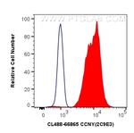 CCNY Antibody in Flow Cytometry (Flow)