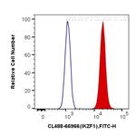 IKZF1 Antibody in Flow Cytometry (Flow)