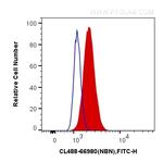 NBN Antibody in Flow Cytometry (Flow)