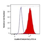 N-PAC Antibody in Flow Cytometry (Flow)